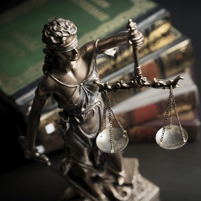 Conservatorships Image